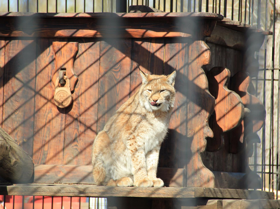Lesnaya Skazka-Barnaul必去景点