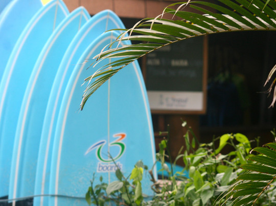 Brasil Surf School