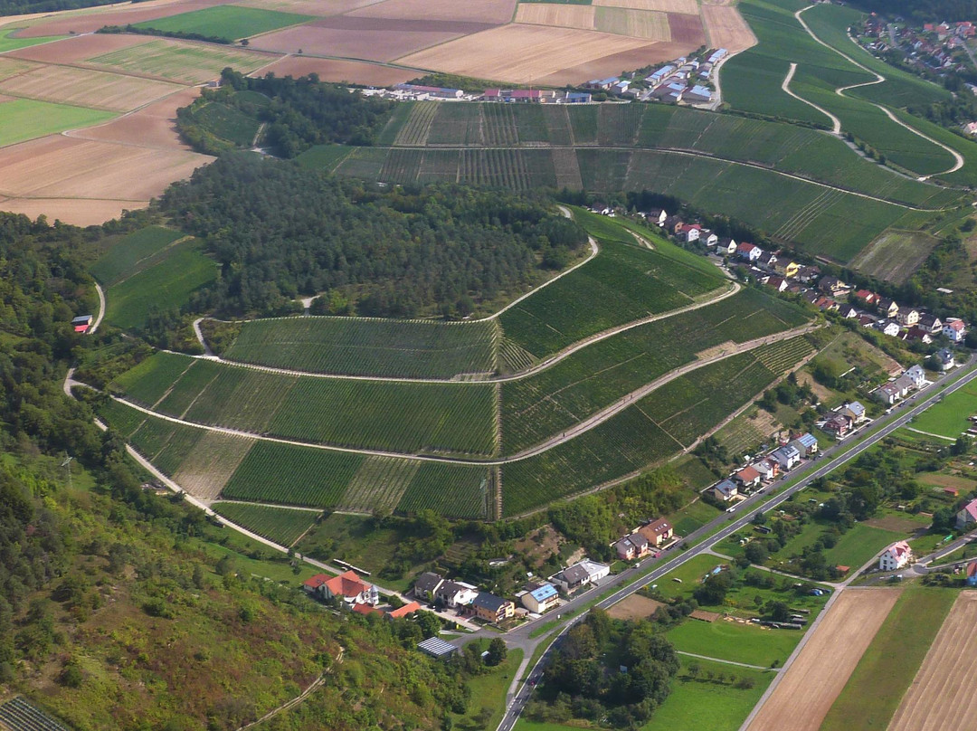 Weingut Rudolf May景点图片