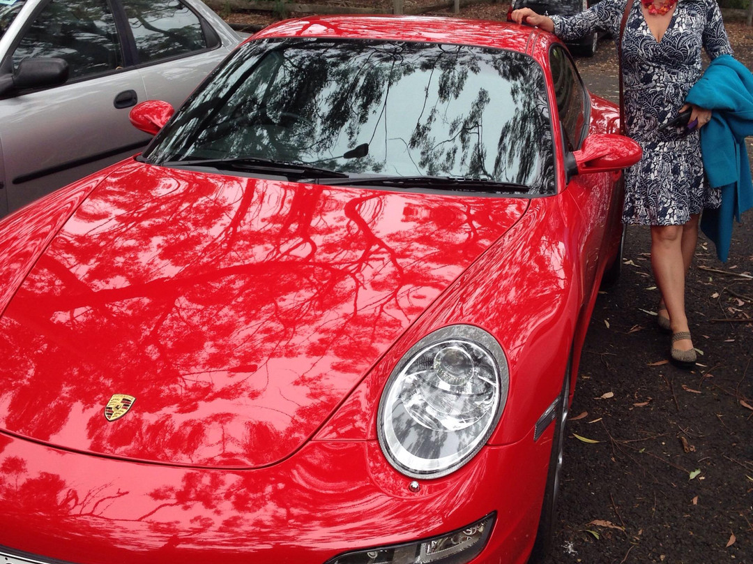 Cliff to Coast Sports Car Drives-海伦斯堡必去景点