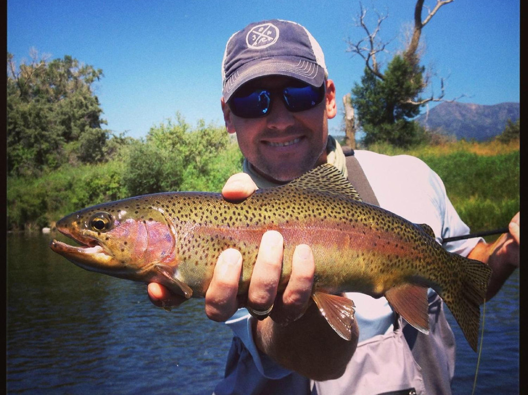 Montana Fly Fishing Guides - Day Tours景点图片