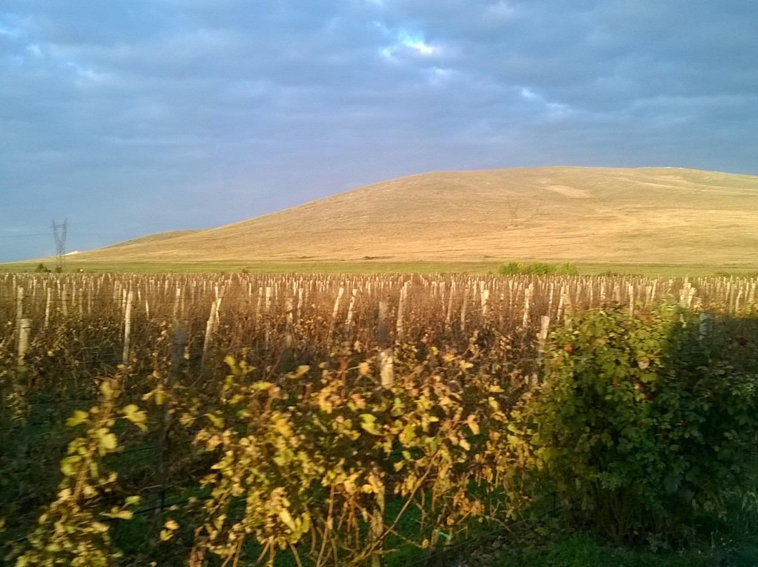 Bessa Valley Winery,景点图片