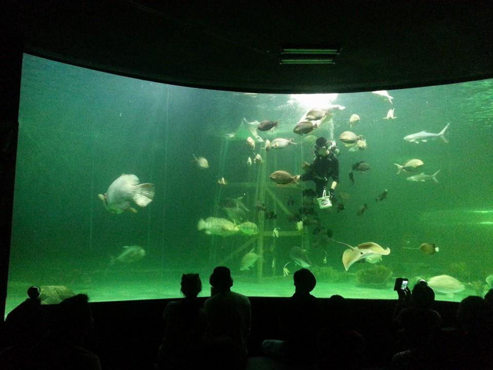 Songkhla Aquarium景点图片