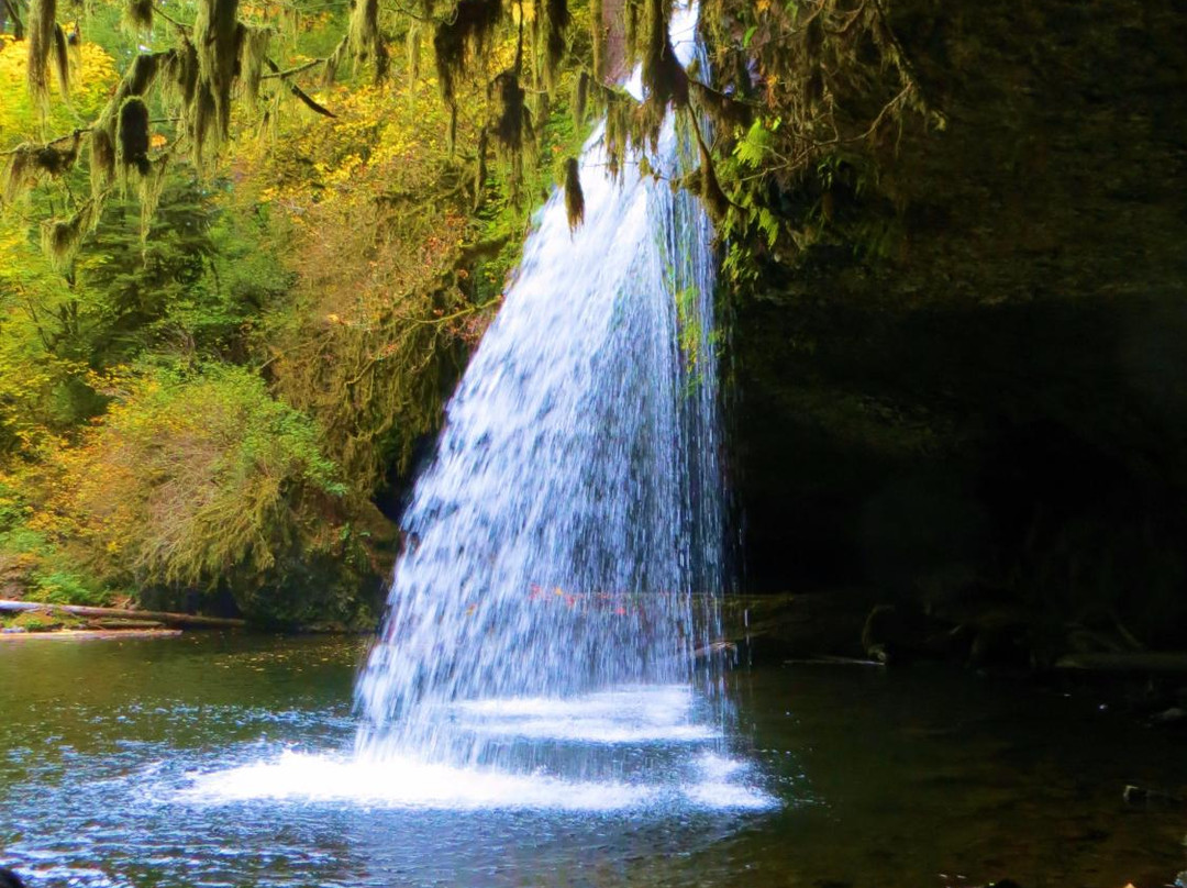 Butte Creek Falls-Scotts Mills必去景点