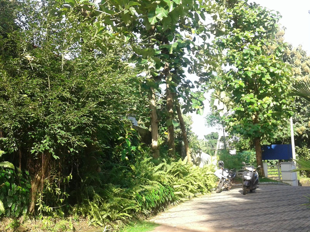 Andumaly Trinity Ayurveda Hospital-科塔亚姆必去景点