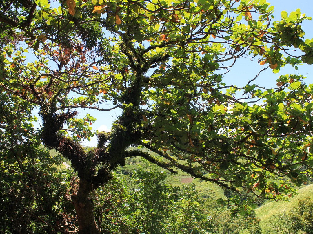 Dipnaysupuan Japanese Tunnel-Basco必去景点