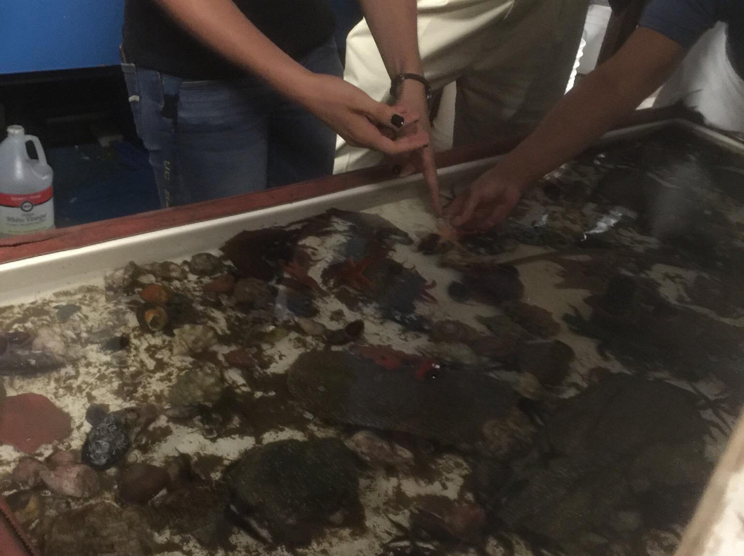 Scripps Institute of Oceanography Coastal Reserve-拉荷亚必去景点