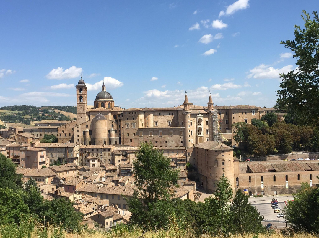 Palazzo Ducale di Urbino景点图片