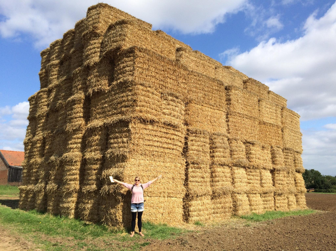 Suffolk Wildlife Trust at Trimley Marshes-Trimley St. Martin必去景点