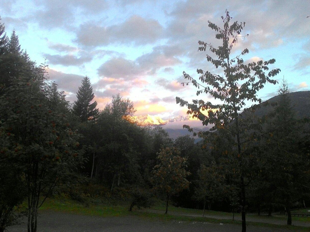 Lago dei Caprioli景点图片