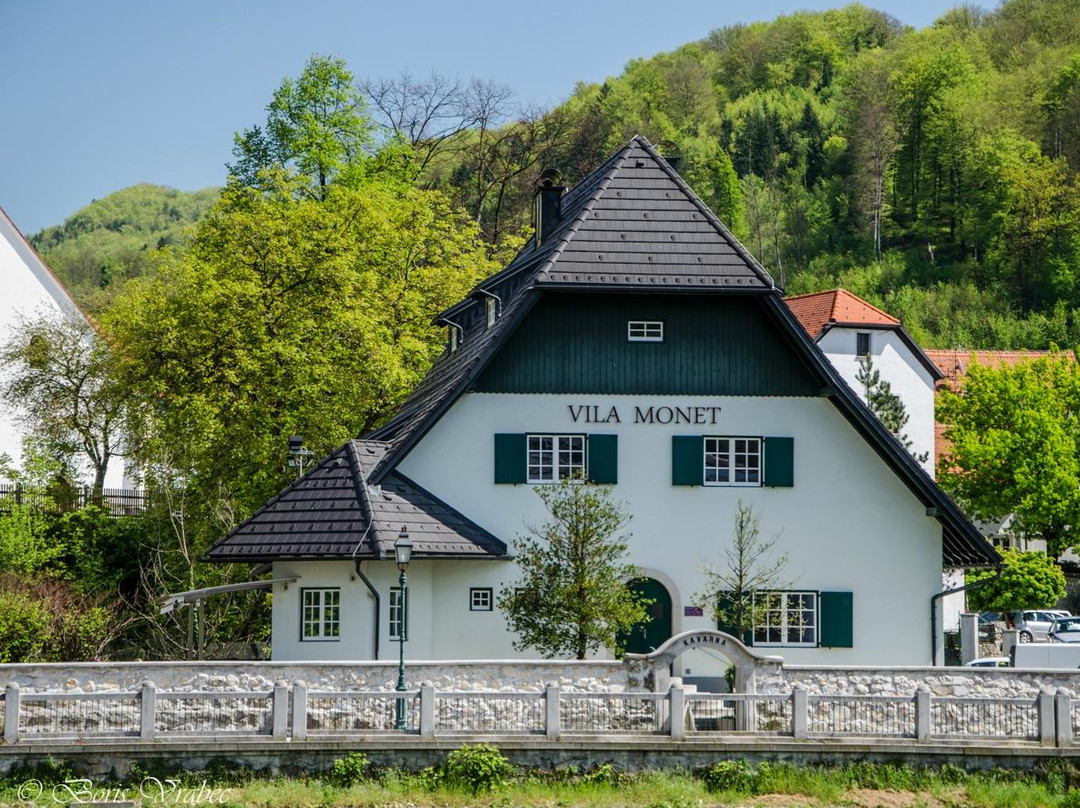 Rimske Toplice酒店住宿-Vila Monet