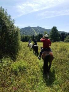 D-N-D Stables Guided Trail Rides-East Burke必去景点