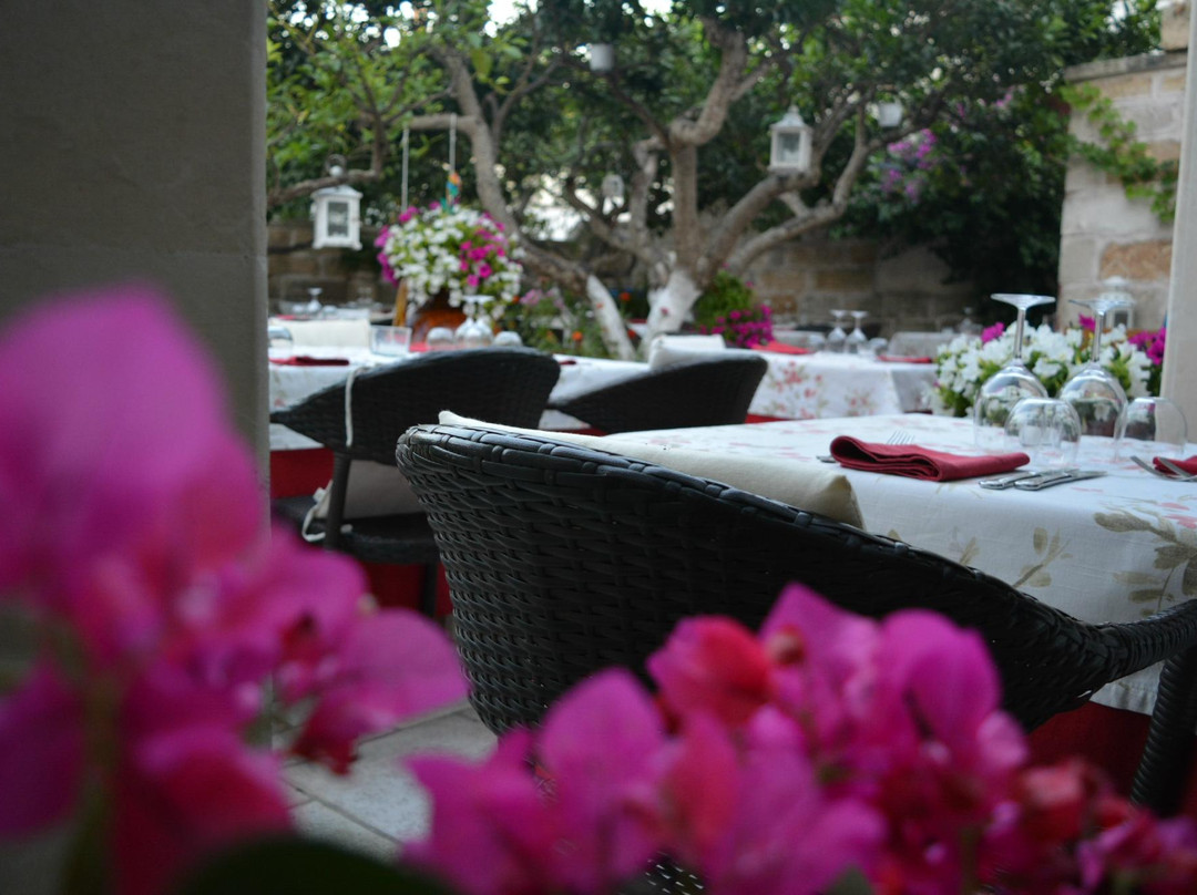 Castro餐馆和美食-Da Amedeo