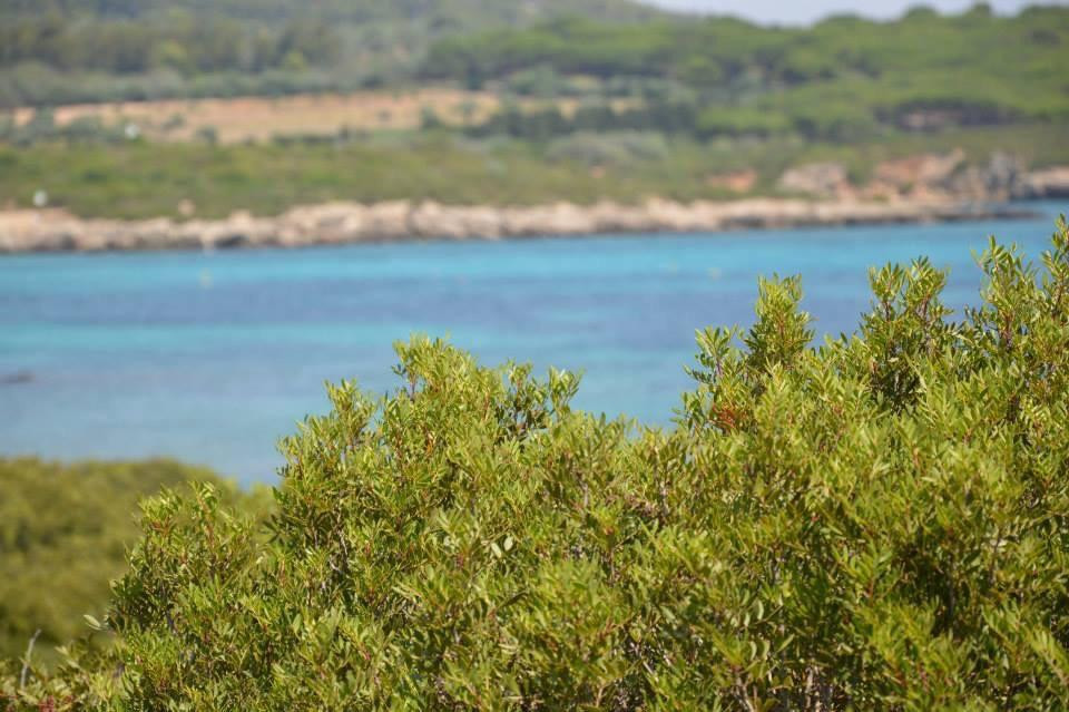 Spiaggia del Lazzaretto景点图片