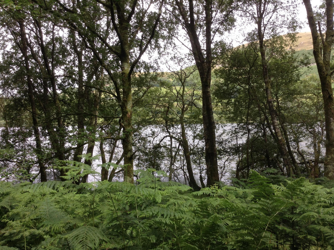 The Grange Country House Hotel主图