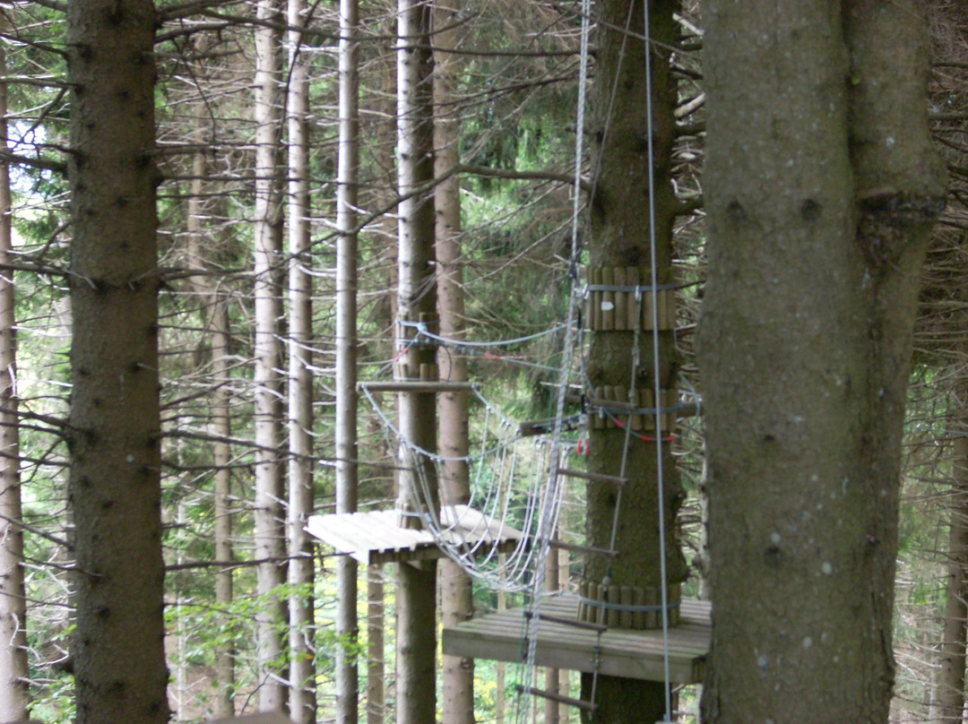 Alpenise Parco Avventura景点图片