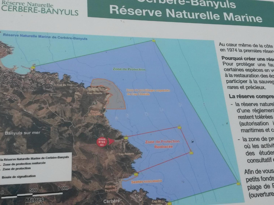 Plongée Cap Cerbère-Cerbere必去景点