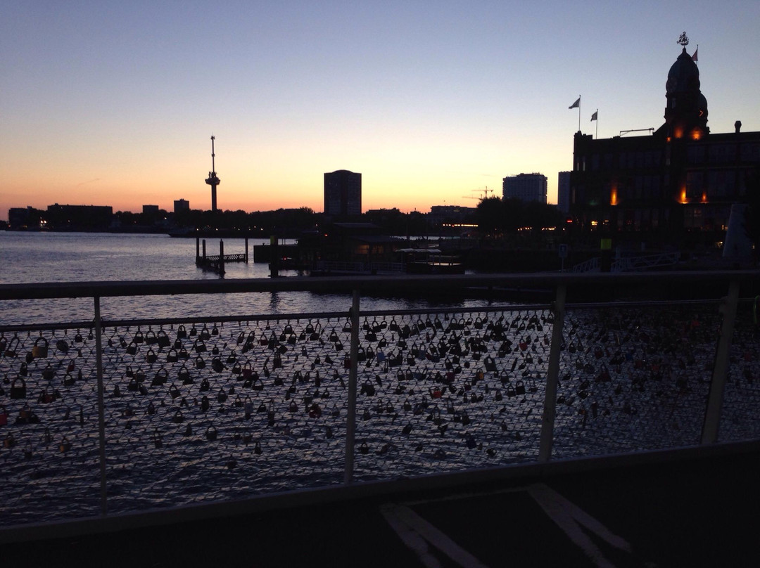 Rijnhavenbrug-鹿特丹必去景点