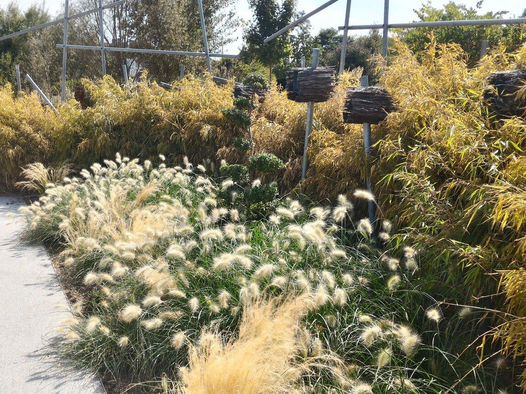 Jardin des Traces景点图片