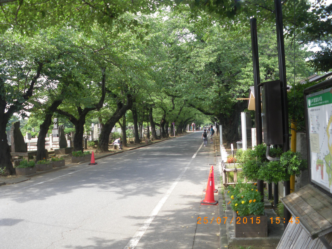 谷中灵园-Yanaka必去景点