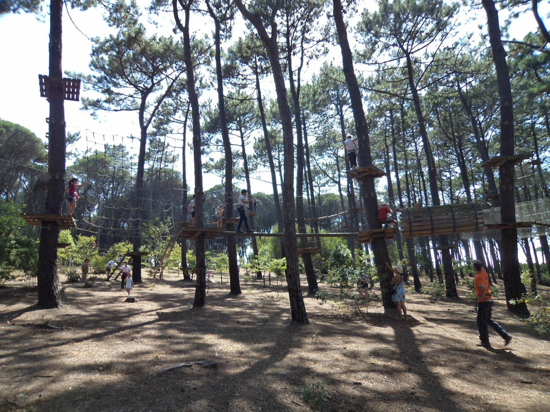 Parque Aventura-菲盖拉达福什必去景点