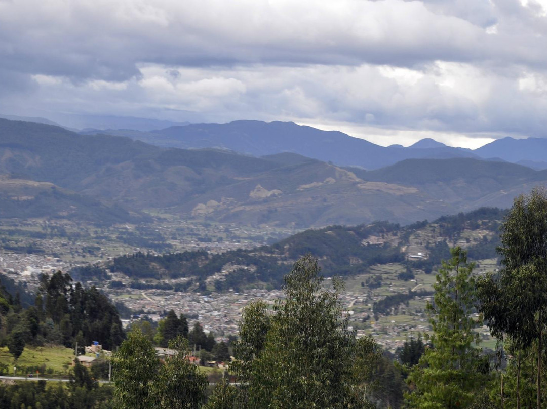 Hotel Suarel Center主图