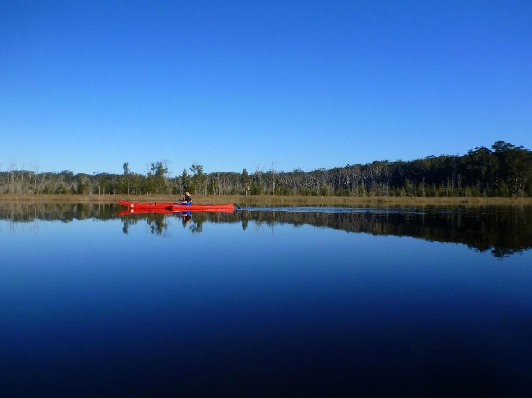 Bay and Beyond Sea Kayak Tours景点图片