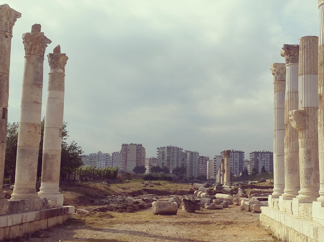 Mezitli旅游攻略图片