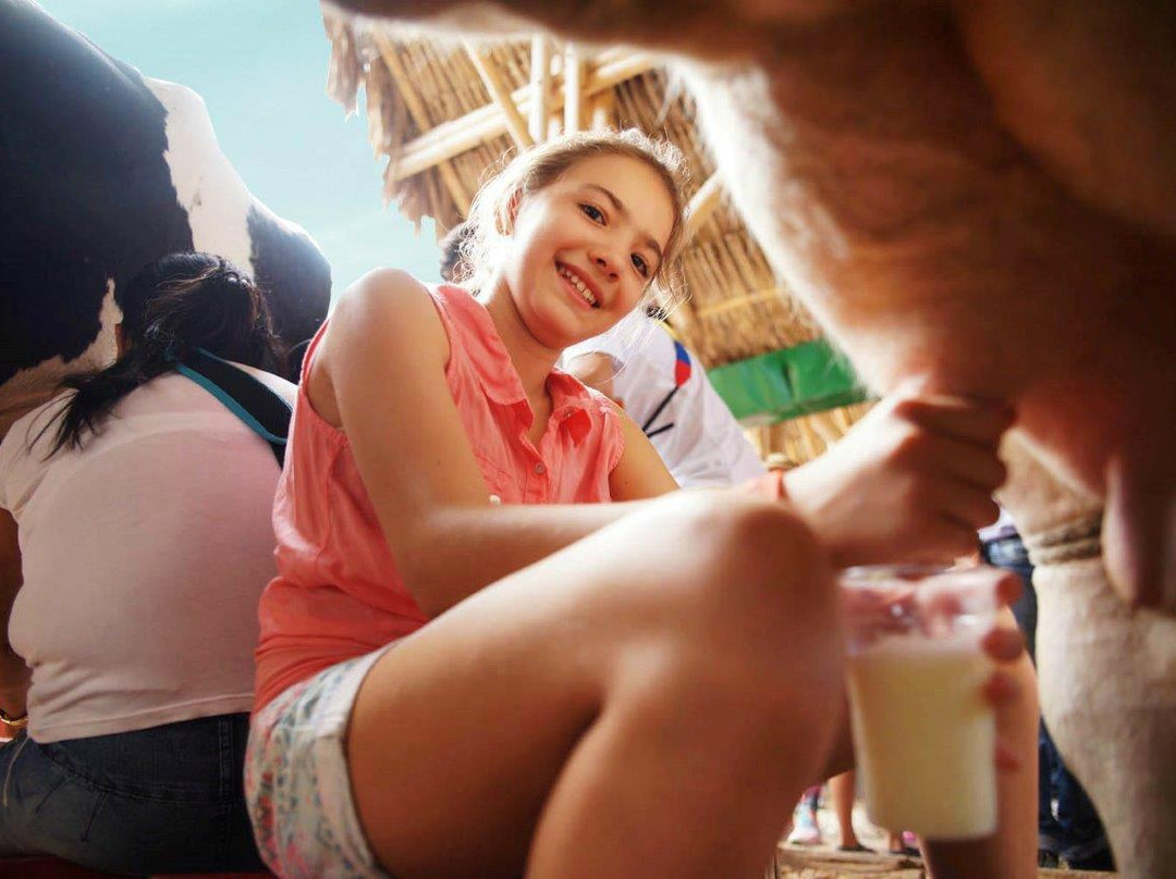 Panaca-Quimbaya必去景点