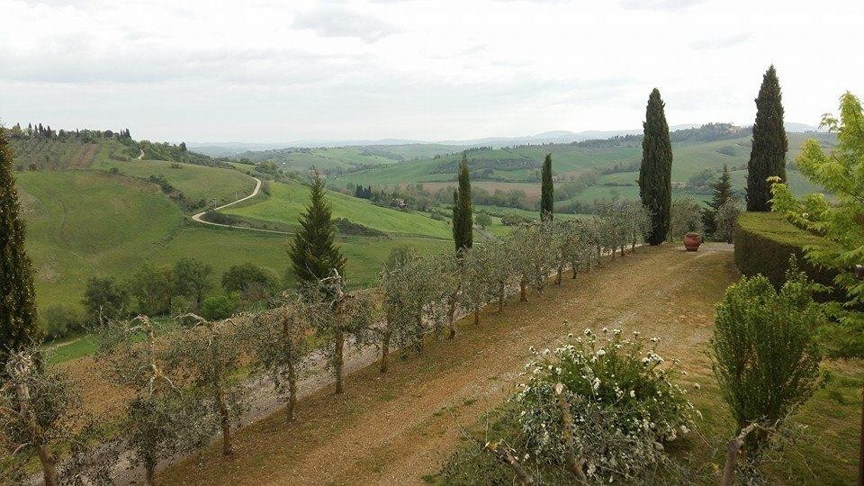 Agriturismo La Canonica景点图片