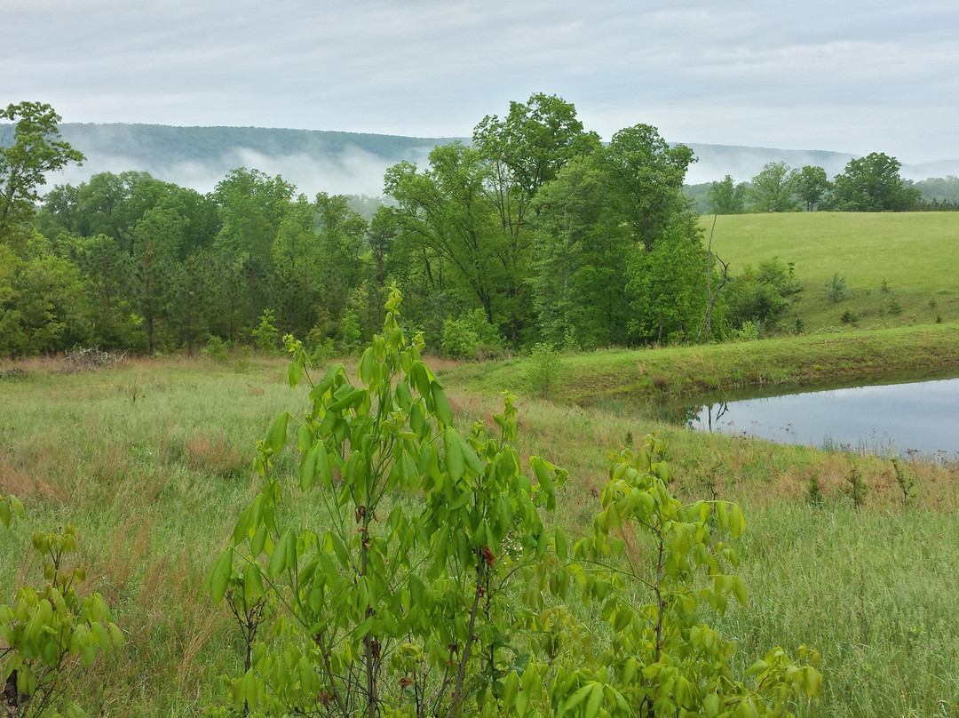 Sleepy Creek Mountain Inn主图