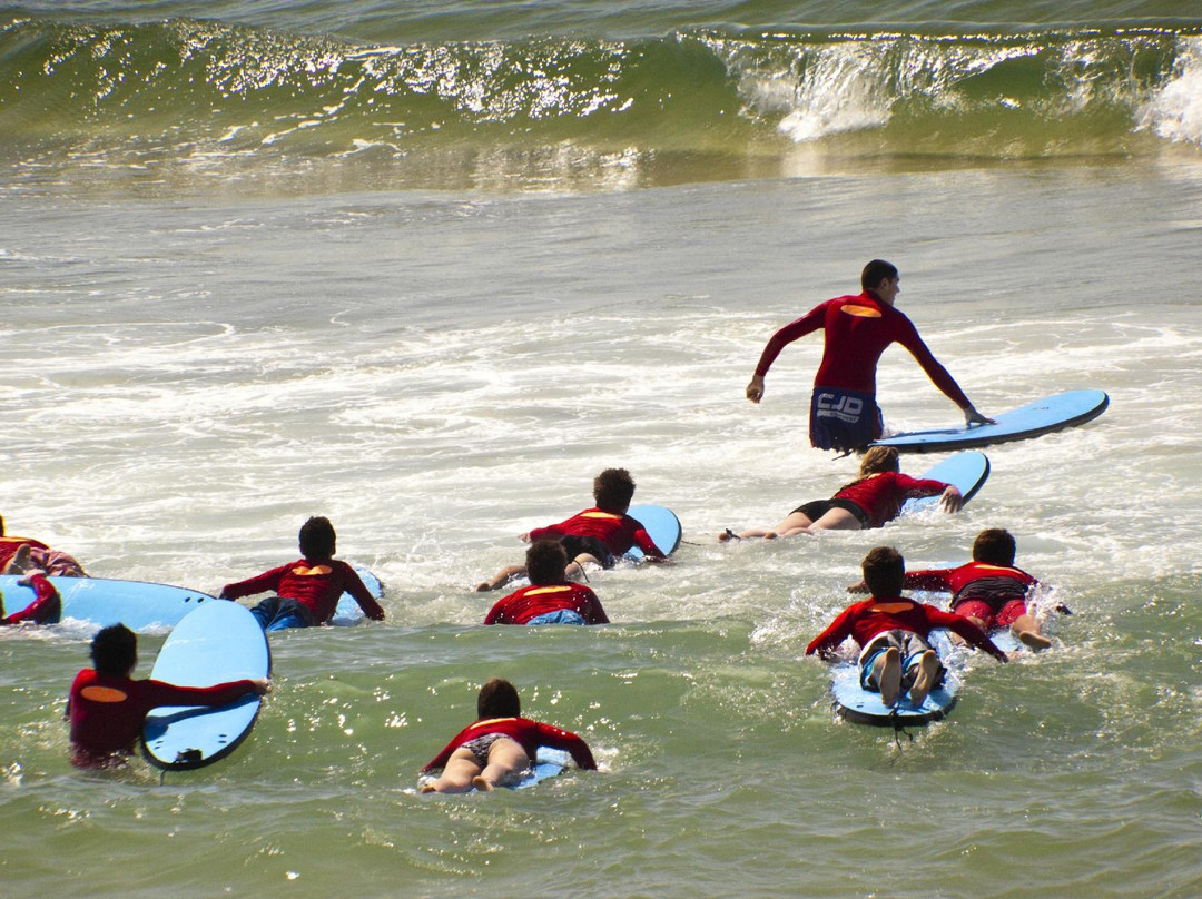 The Watering Hole Surf School-佩伦波思必去景点