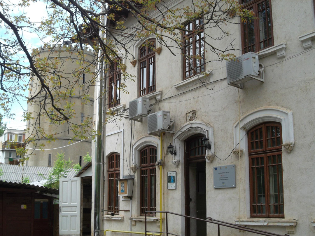 Lower Danube Museum景点图片