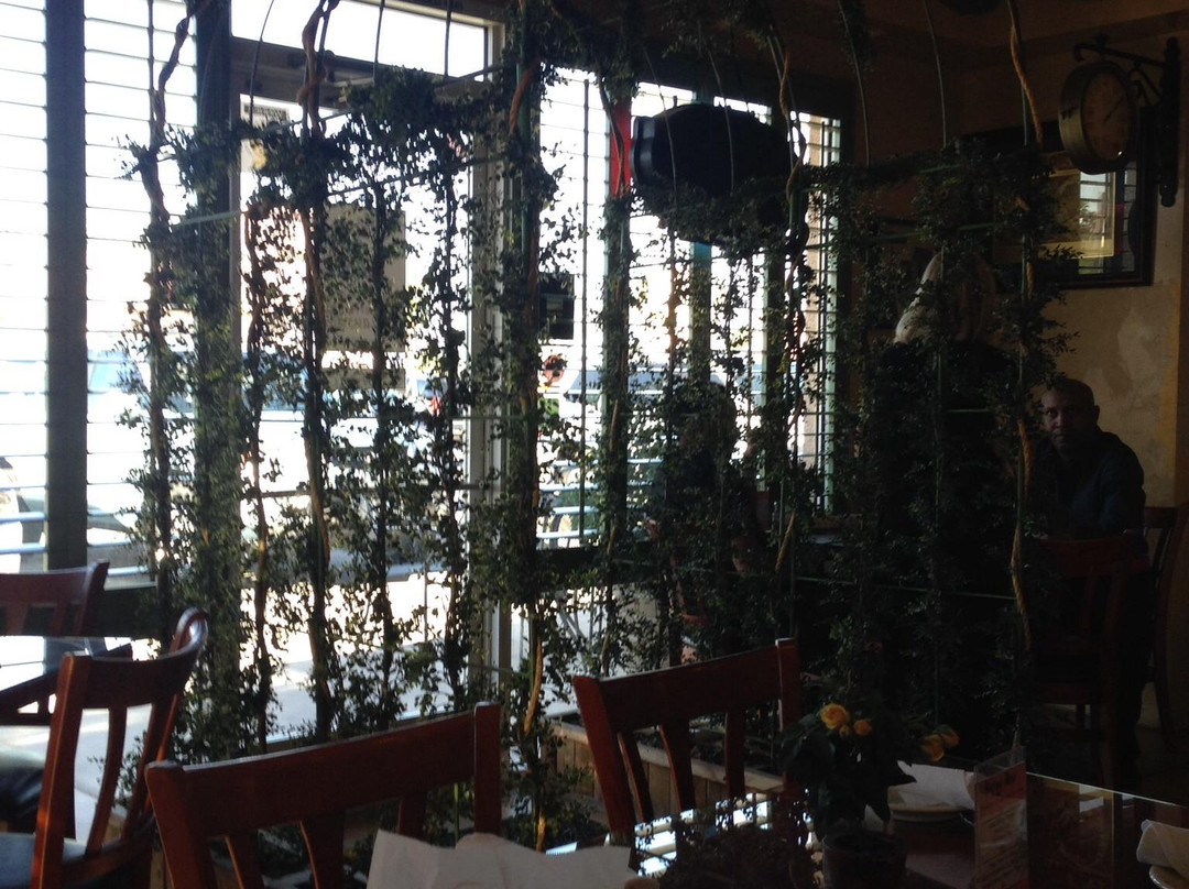 Hedary's Mediterranean Restaurant