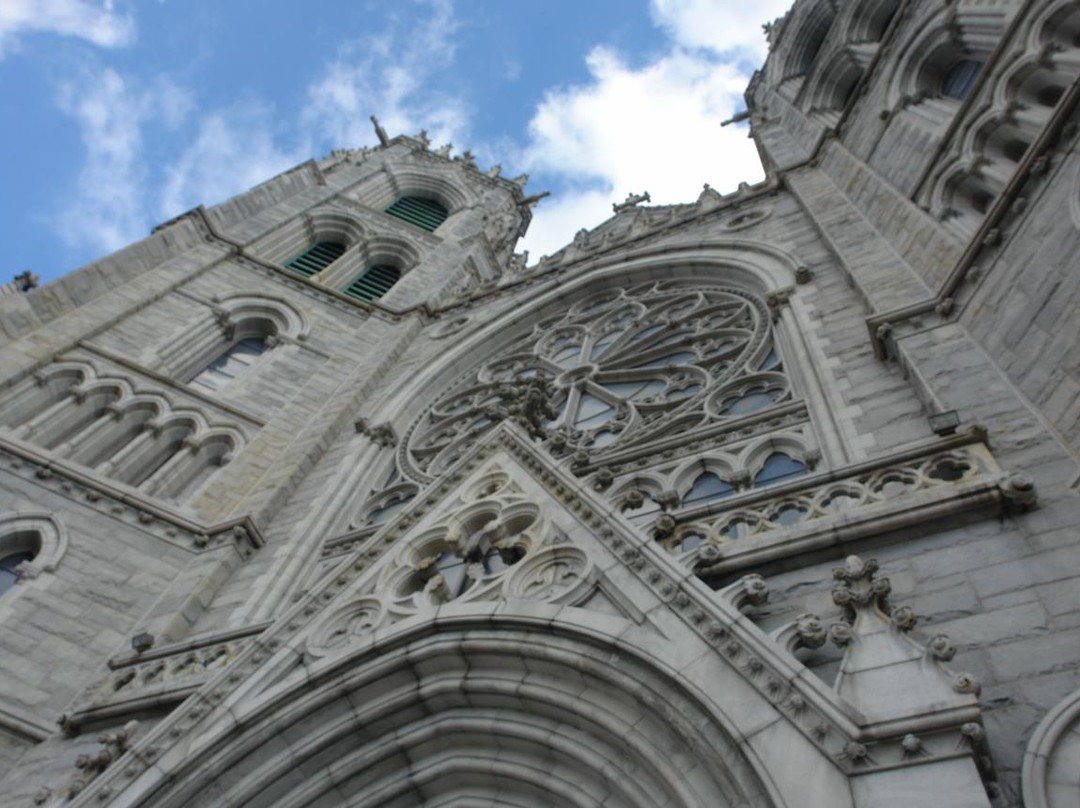 Cathedral Basilica of the Sacred Heart景点图片