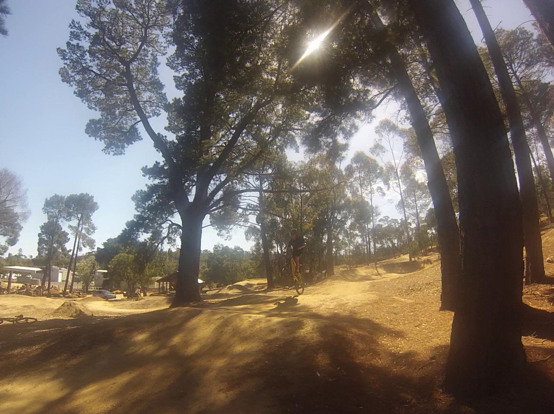 Westcoast Adventure & Surf School-Bells Beach必去景点