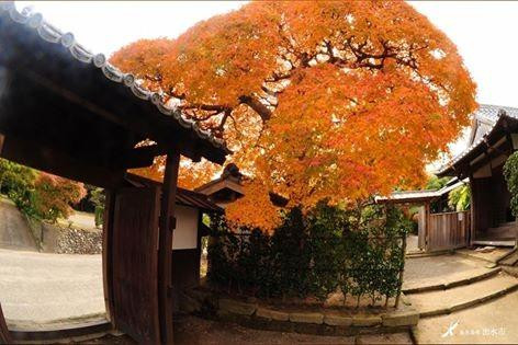 Open Samurai House-Takemiya Residence-出水市必去景点