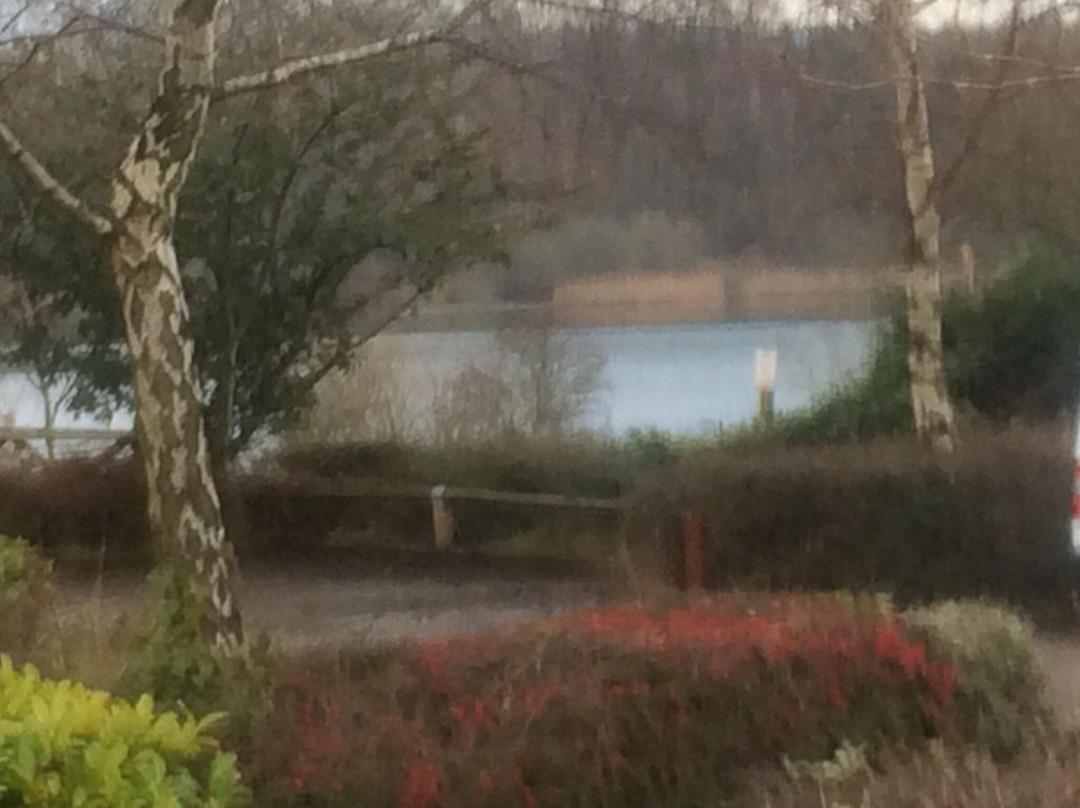 Astbury Mere Country Park-康格尔顿必去景点