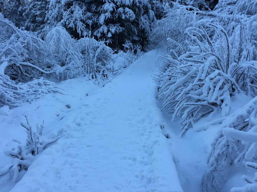 Winner Creek Trail Hand Tram景点图片