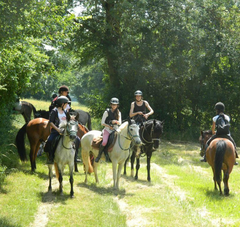 Haras de Fleyres景点图片