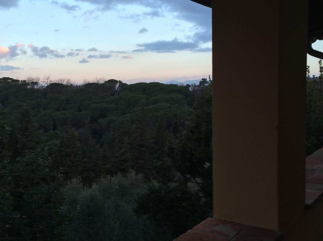 Podere La Fornace