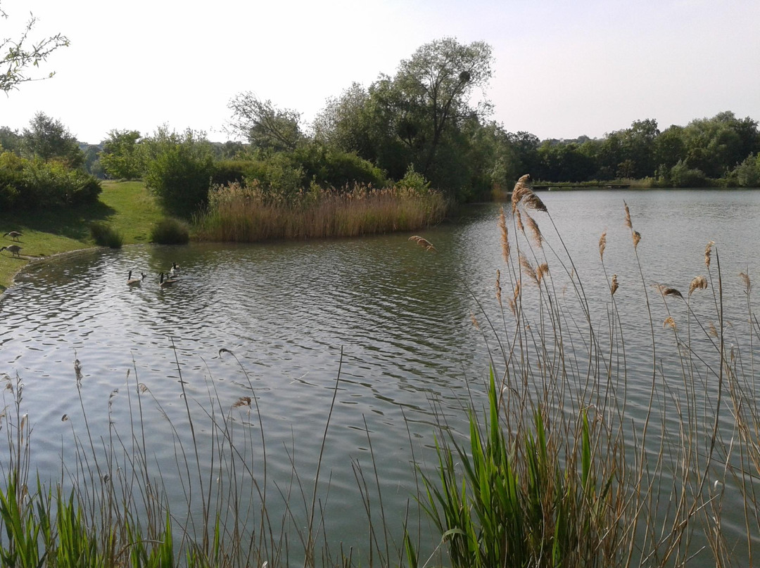 Parc départemental de la Boucle景点图片