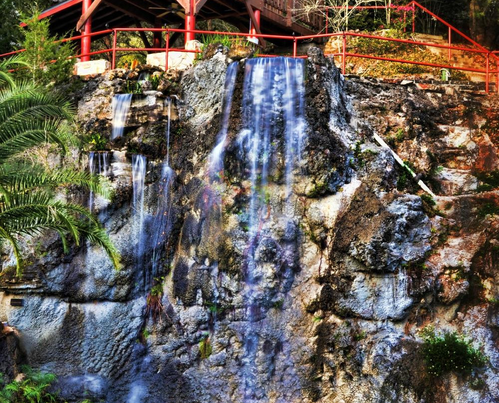 Cedar Lakes Woods & Gardens景点图片
