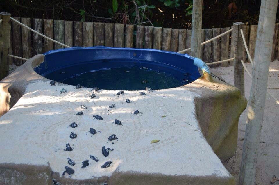 Projeto Tamar Guriri-Sao Mateus必去景点