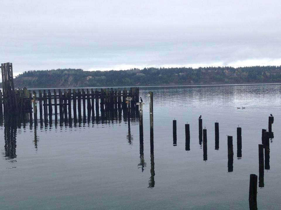 Titlow Park景点图片