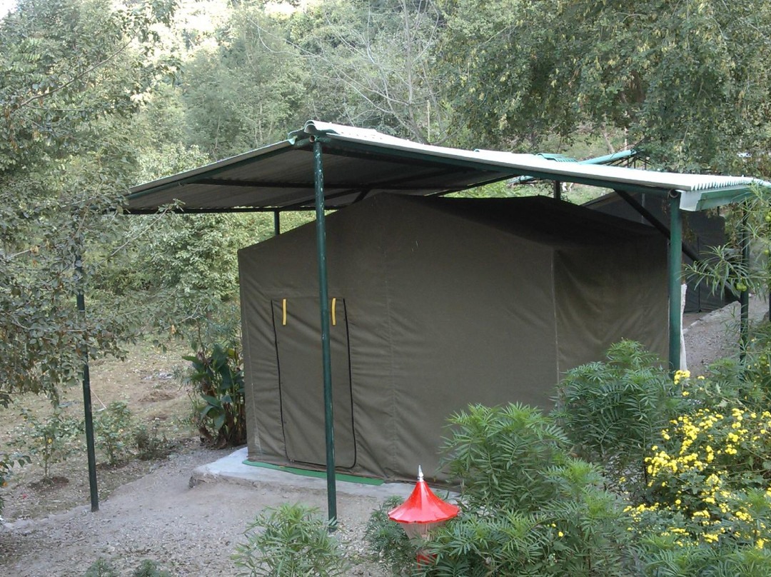 Eco Wild Camps Rajaji