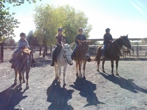 Shadow Glen Riding Stables-Fair Oaks必去景点