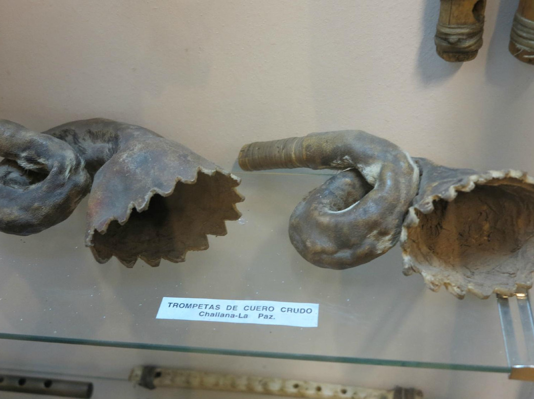 Museum of Musical Instruments - Museo Instrumentos Musicales de Bolivia-拉巴斯必去景点