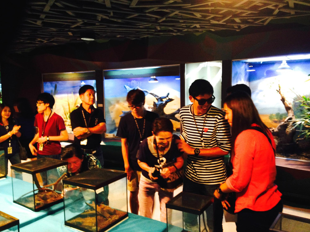 Real Zoo Thailand-乌太必去景点