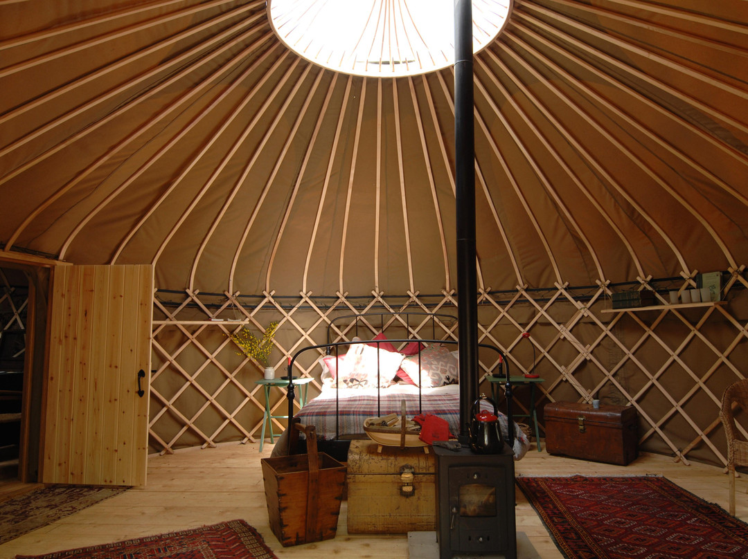 Adhurst Yurts & Glamping